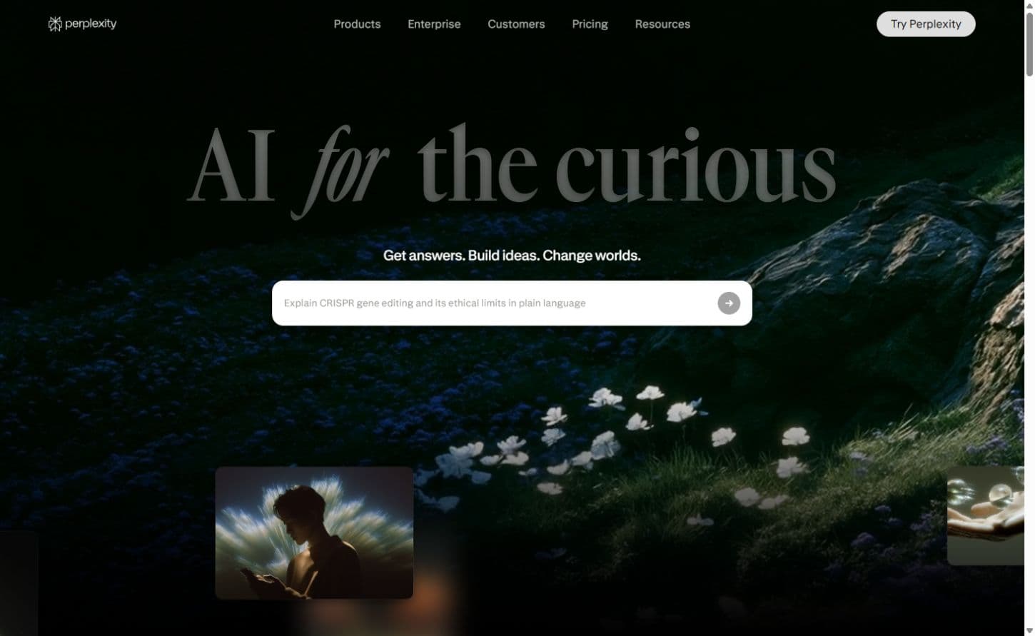 Website preview of Perplexity’s official product hub.